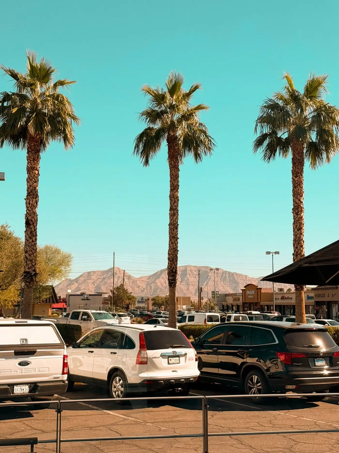 Palm-lined parking lot with desert mountains in the distance
