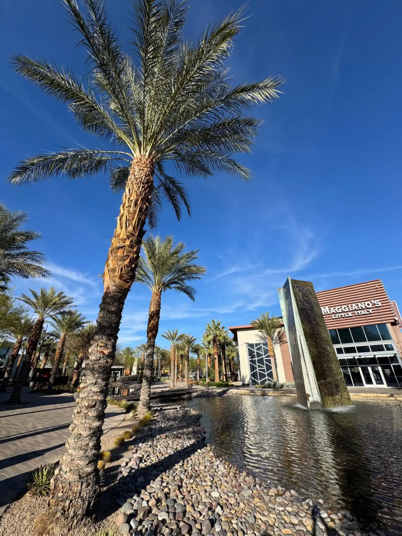 Tall palm trees over a retail center on a clear desert day