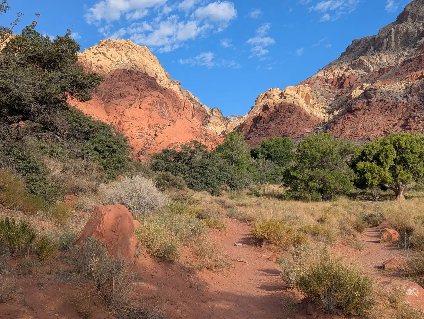 Red sandstone formations and desert brush in Red Rock Canyon